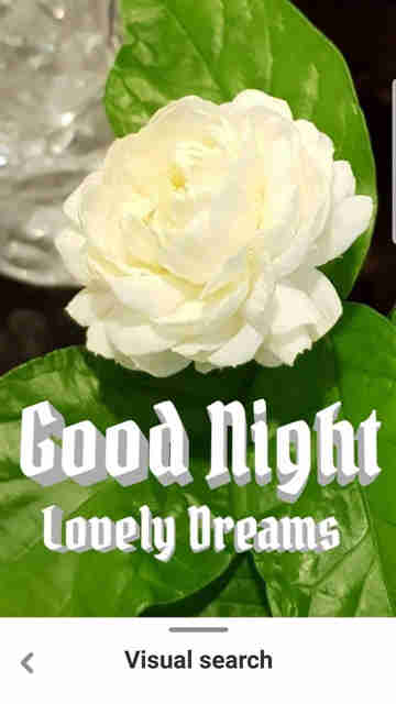 Good Night Flowers